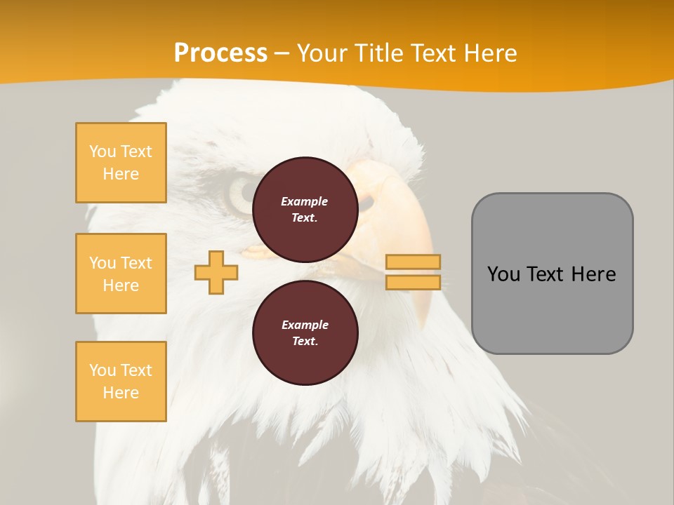 White Predatory Iris PowerPoint Template