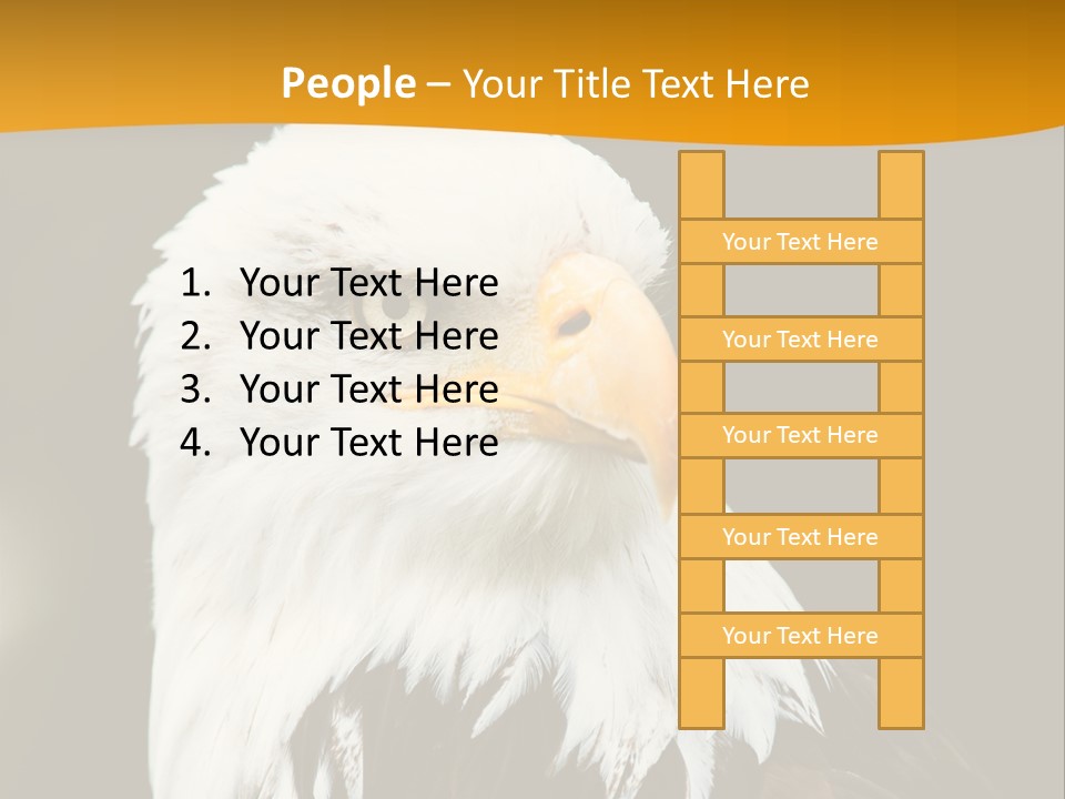 White Predatory Iris PowerPoint Template