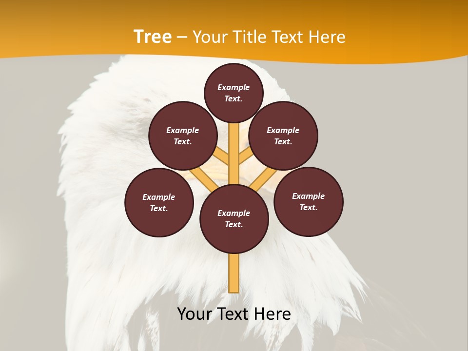 White Predatory Iris PowerPoint Template