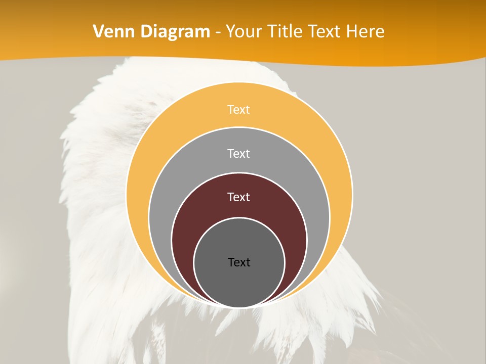 White Predatory Iris PowerPoint Template
