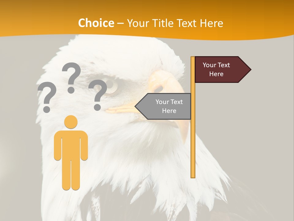 White Predatory Iris PowerPoint Template