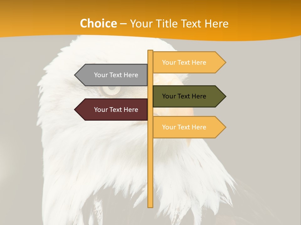 White Predatory Iris PowerPoint Template