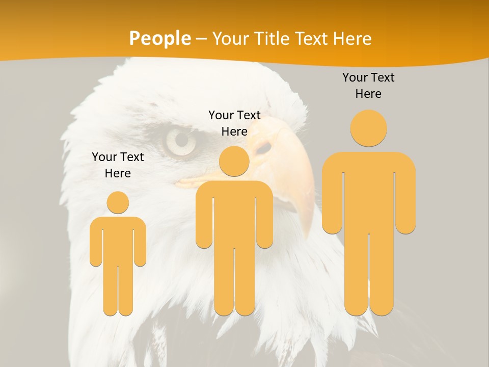 White Predatory Iris PowerPoint Template