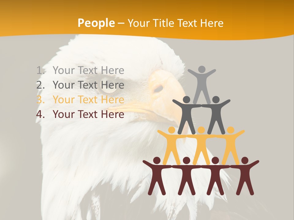 White Predatory Iris PowerPoint Template