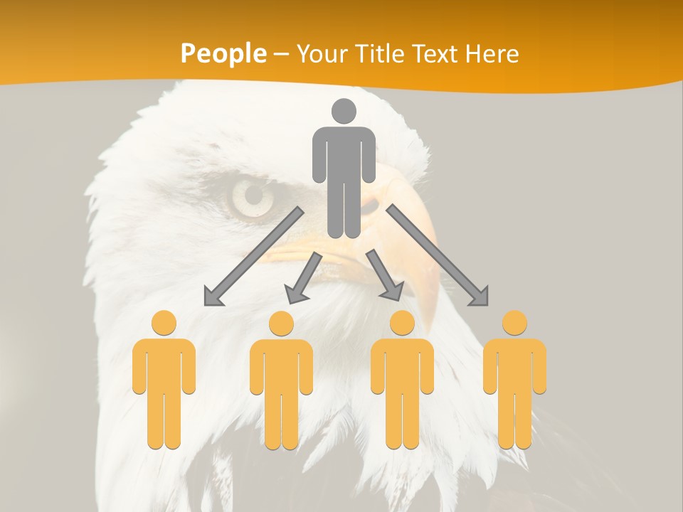 White Predatory Iris PowerPoint Template