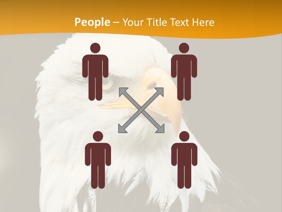 White Predatory Iris PowerPoint Template