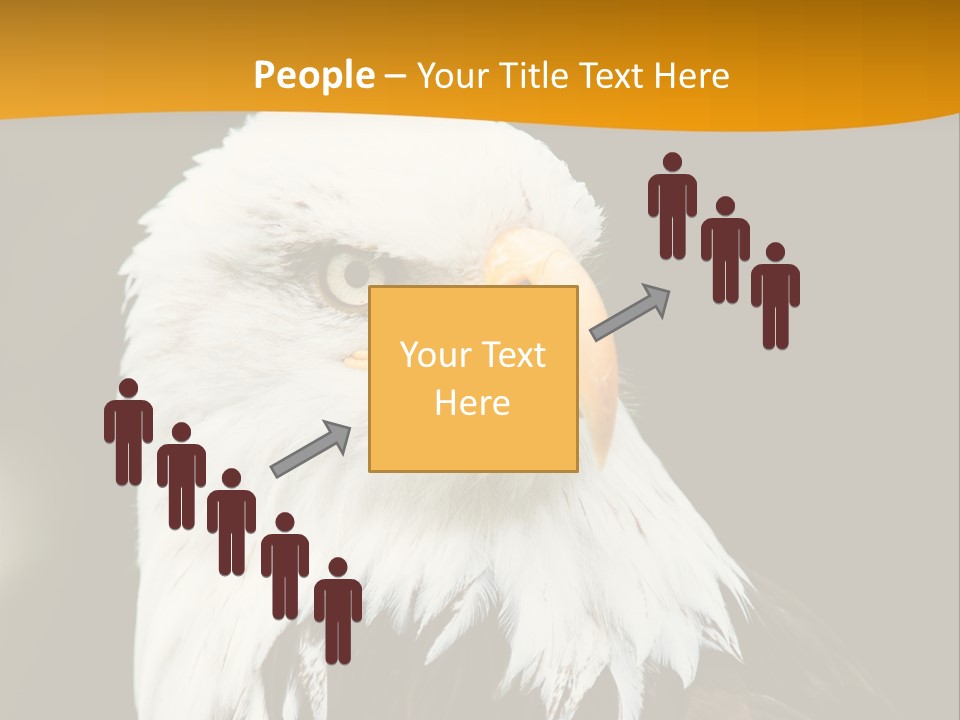 White Predatory Iris PowerPoint Template