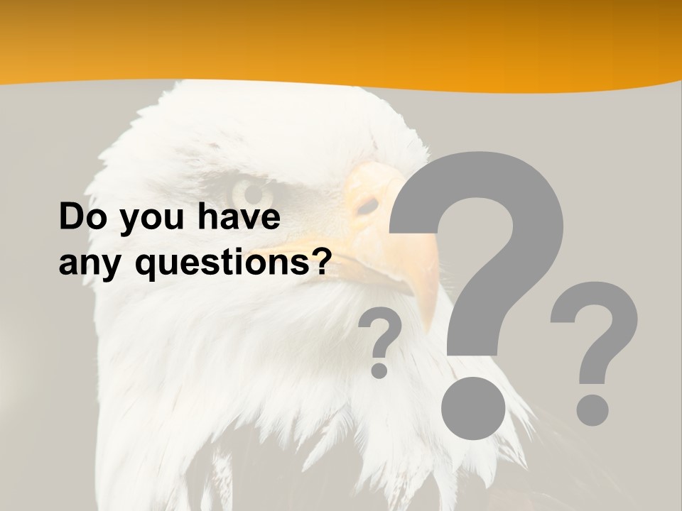 White Predatory Iris PowerPoint Template