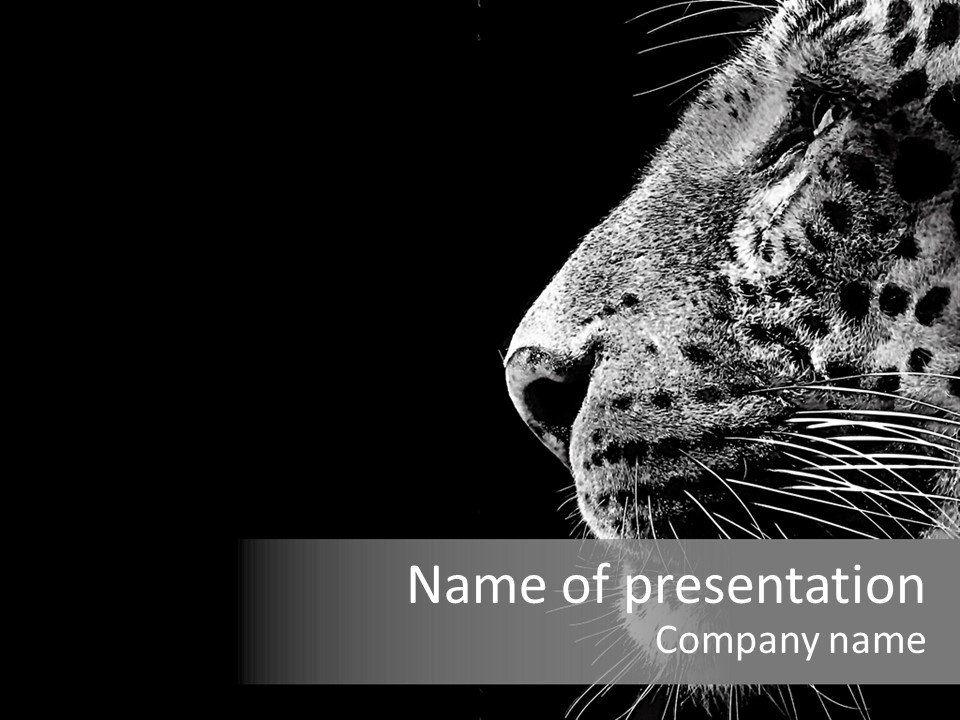 Cat Image Card PowerPoint Template