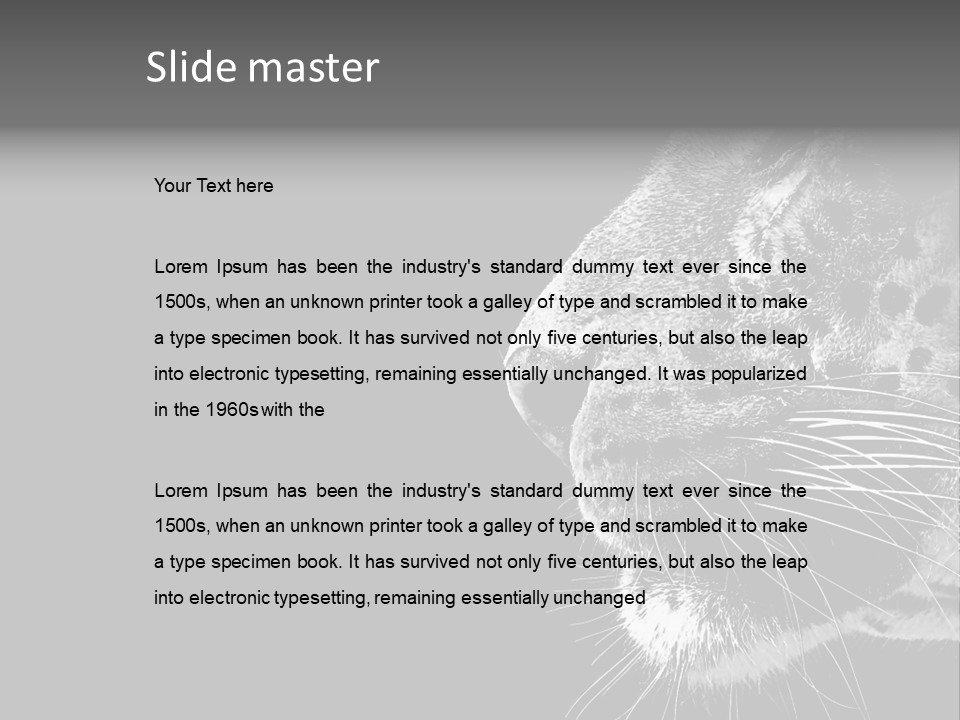 Cat Image Card PowerPoint Template