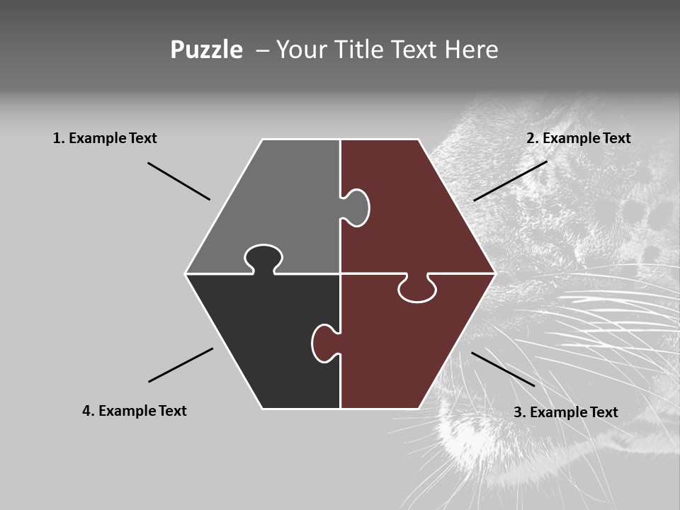 Cat Image Card PowerPoint Template