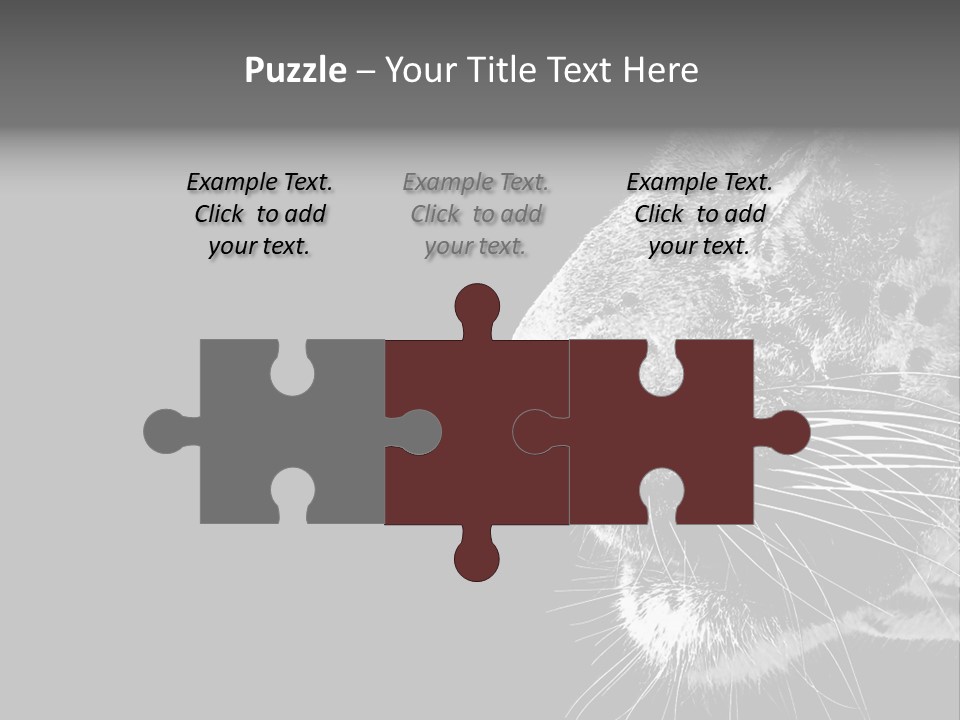 Cat Image Card PowerPoint Template