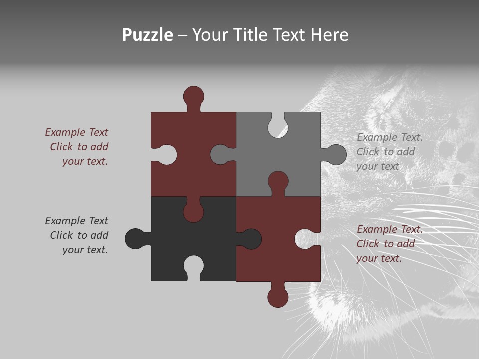 Cat Image Card PowerPoint Template