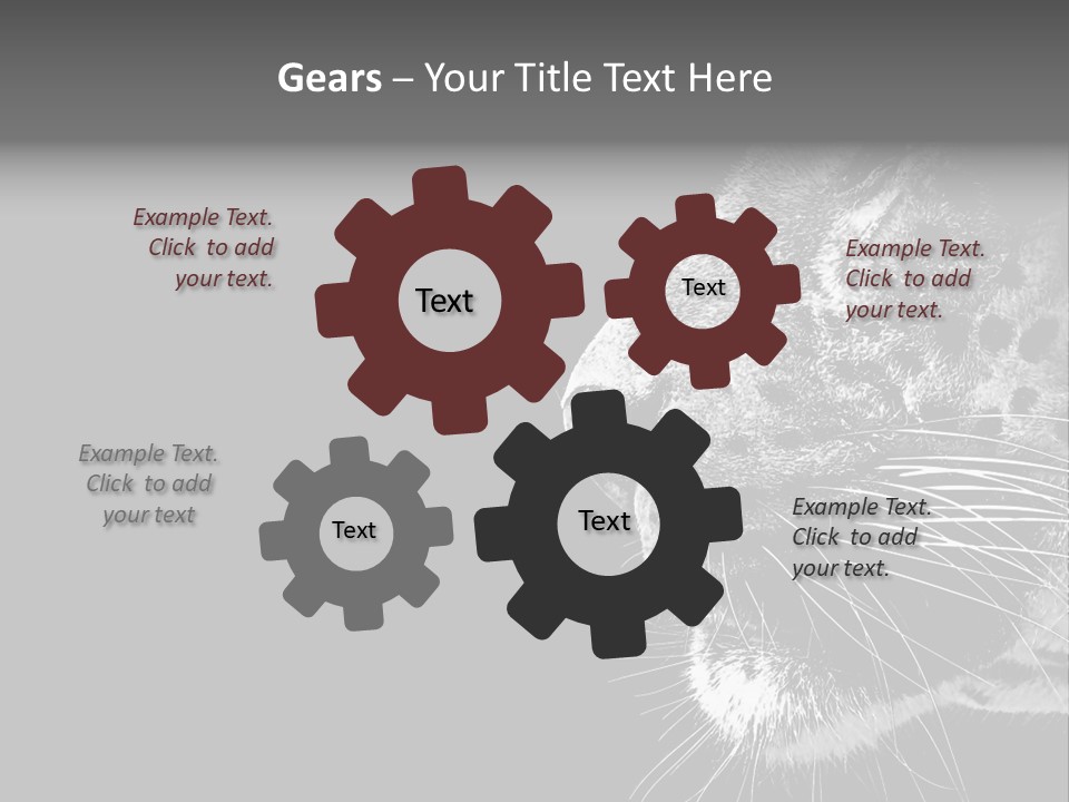 Cat Image Card PowerPoint Template