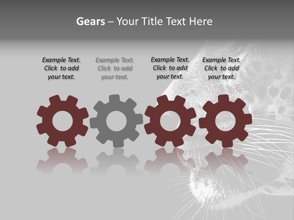 Cat Image Card PowerPoint Template