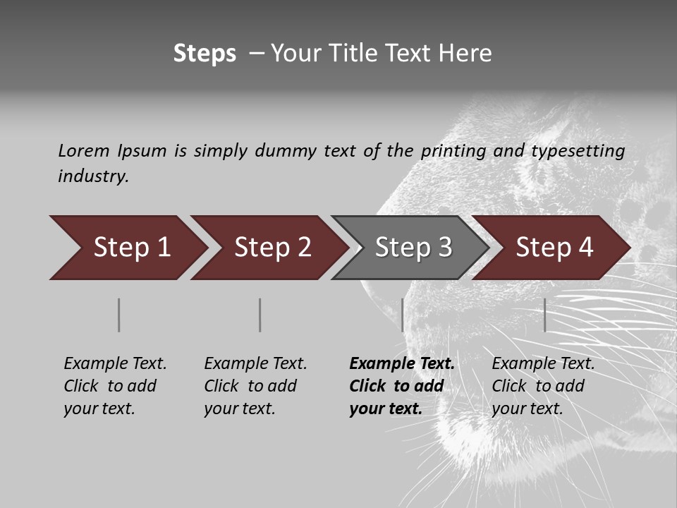 Cat Image Card PowerPoint Template