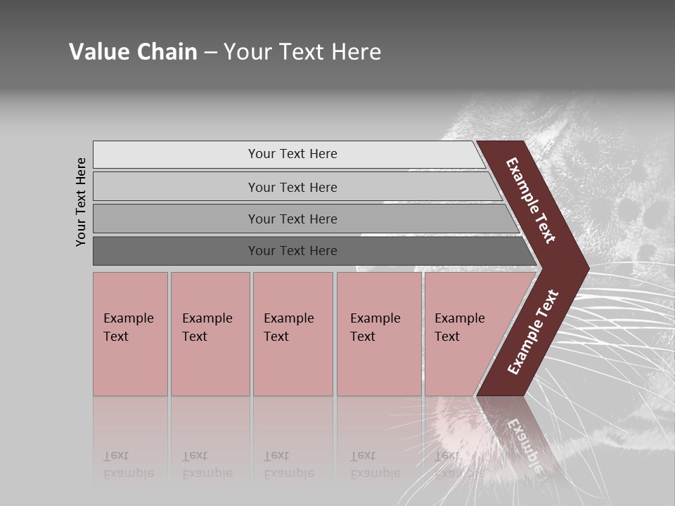 Cat Image Card PowerPoint Template