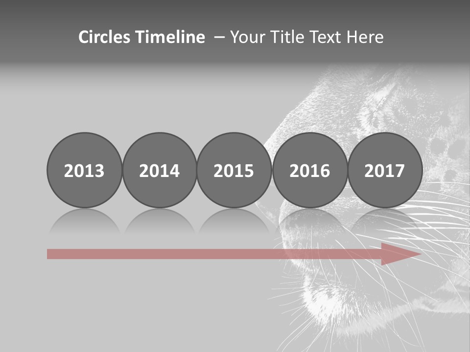 Cat Image Card PowerPoint Template