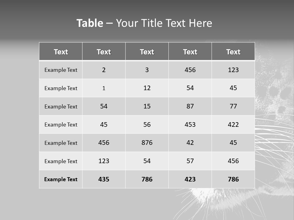 Cat Image Card PowerPoint Template