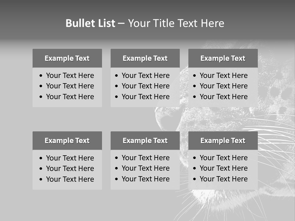 Cat Image Card PowerPoint Template