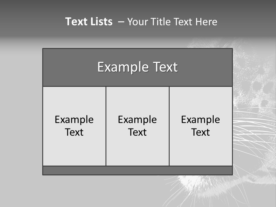 Cat Image Card PowerPoint Template