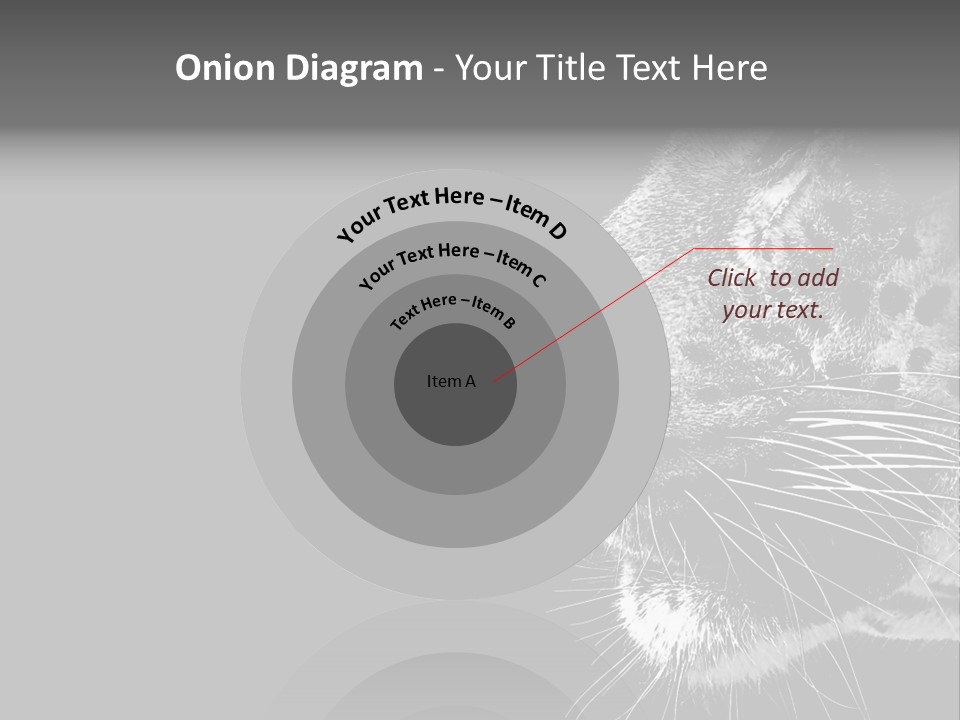 Cat Image Card PowerPoint Template