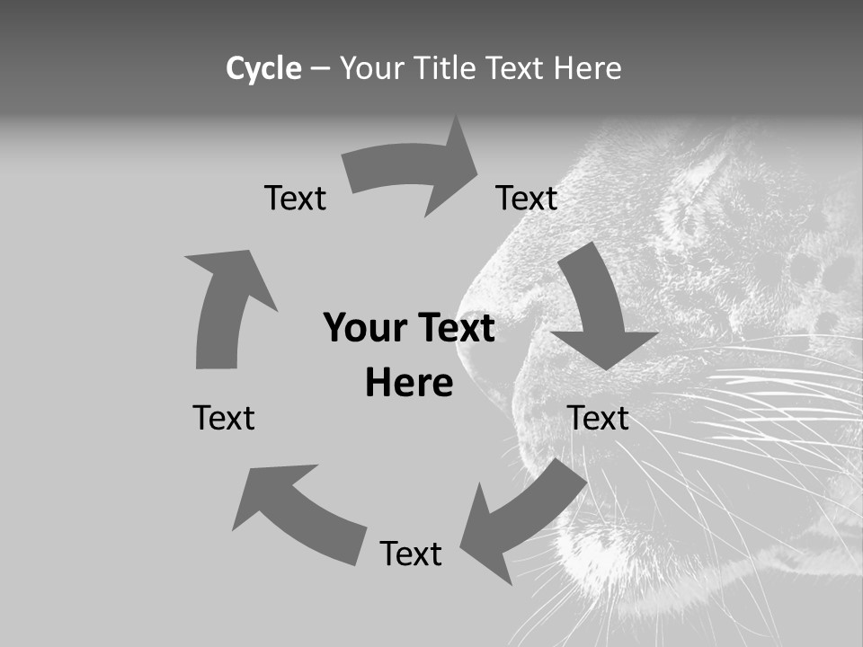 Cat Image Card PowerPoint Template