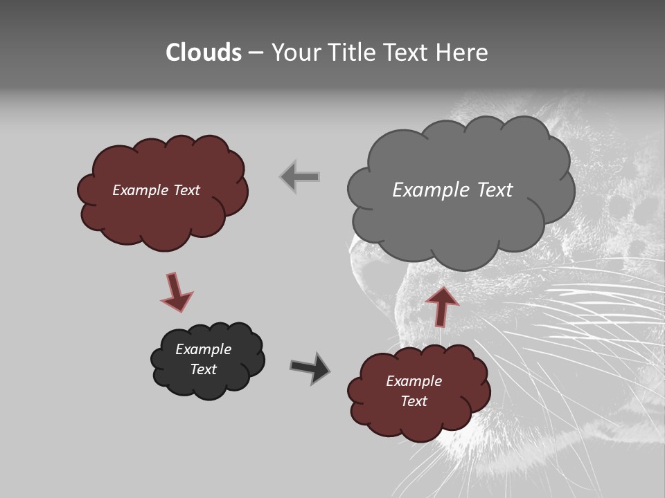 Cat Image Card PowerPoint Template