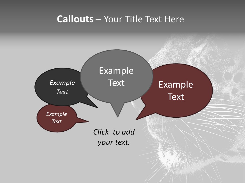 Cat Image Card PowerPoint Template