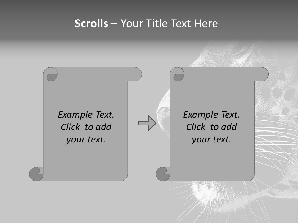 Cat Image Card PowerPoint Template