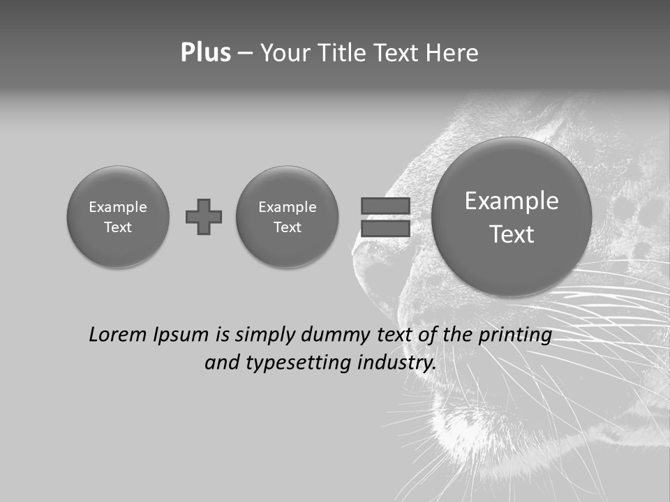 Cat Image Card PowerPoint Template