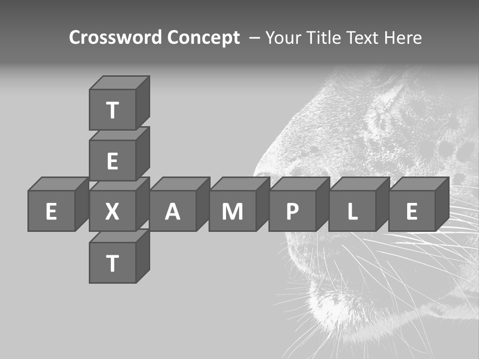 Cat Image Card PowerPoint Template