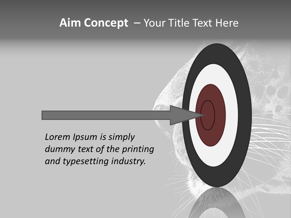 Cat Image Card PowerPoint Template