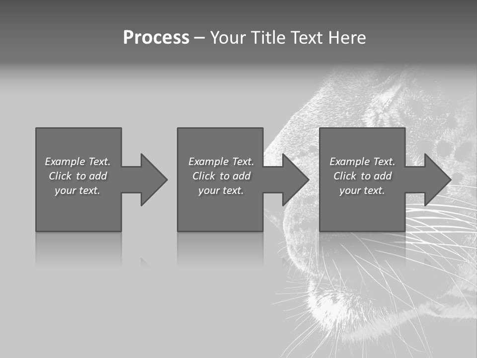 Cat Image Card PowerPoint Template