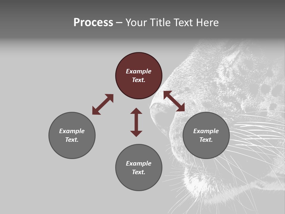 Cat Image Card PowerPoint Template