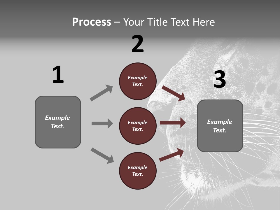 Cat Image Card PowerPoint Template