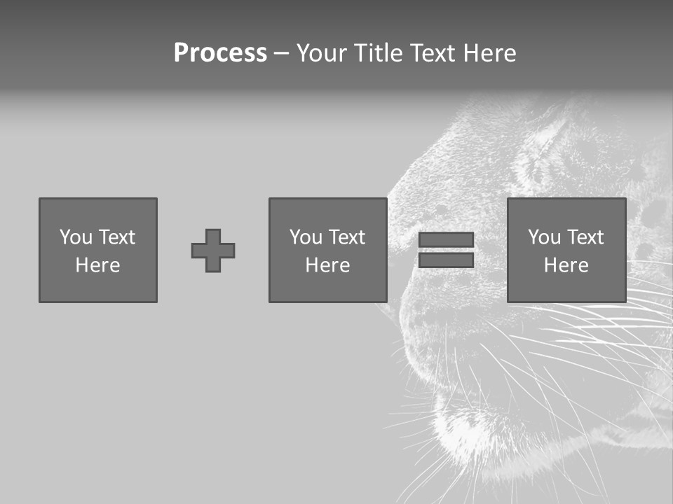 Cat Image Card PowerPoint Template