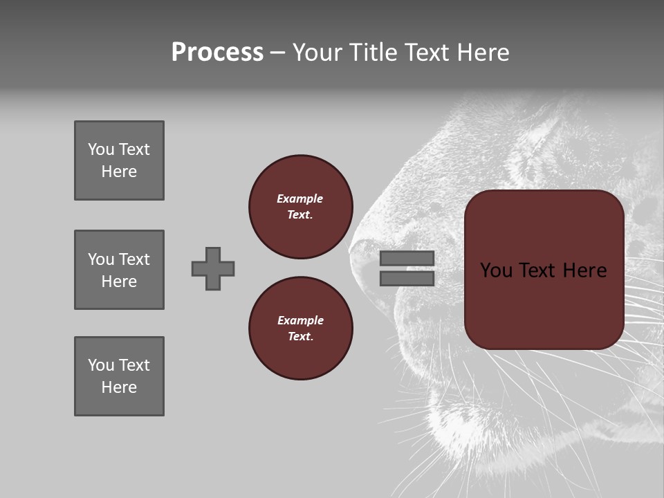 Cat Image Card PowerPoint Template