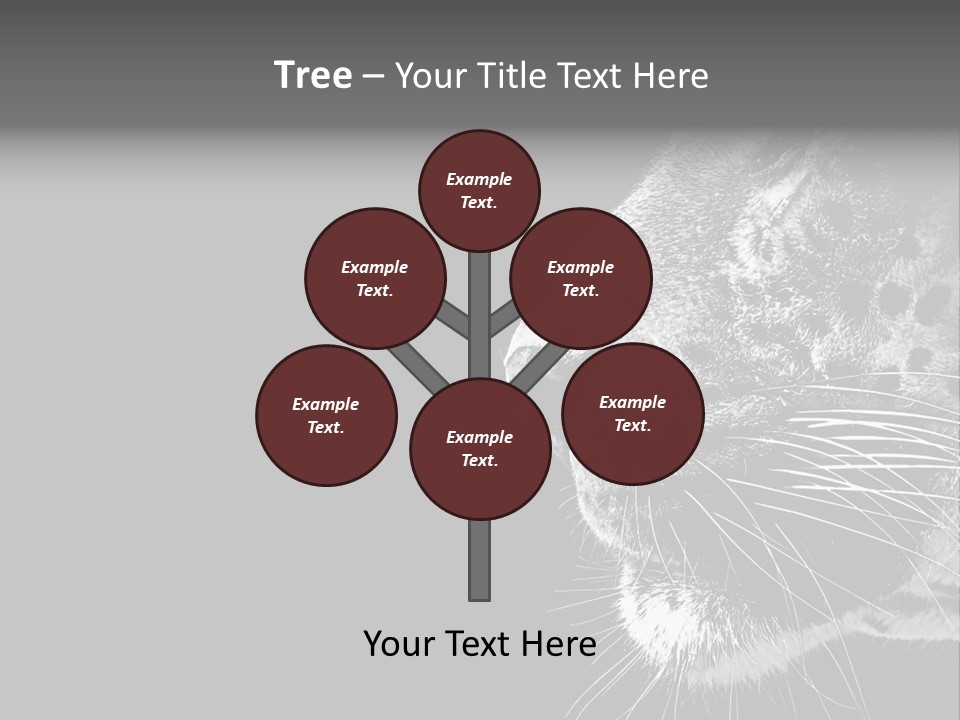 Cat Image Card PowerPoint Template