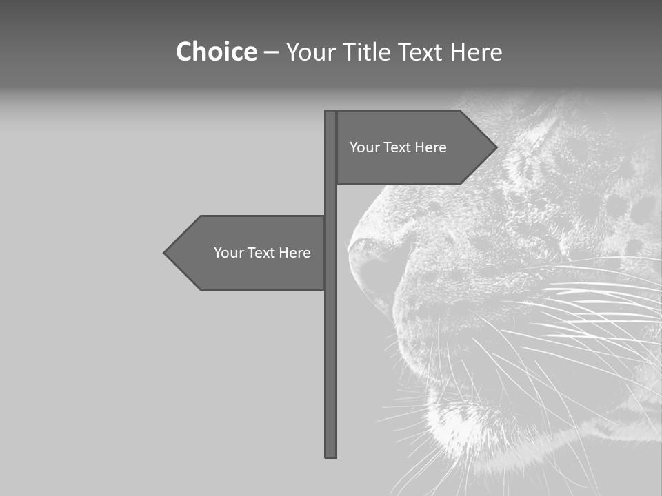 Cat Image Card PowerPoint Template