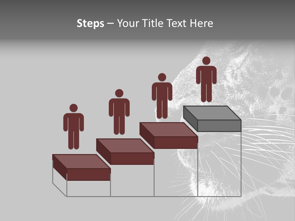 Cat Image Card PowerPoint Template