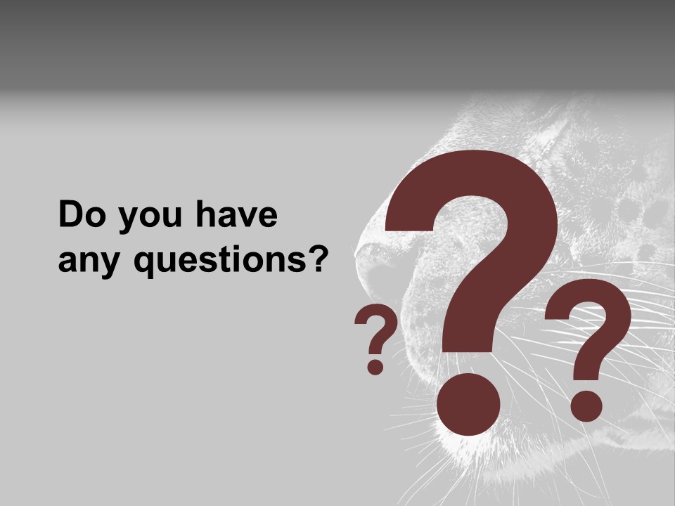 Cat Image Card PowerPoint Template