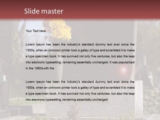 Digger Inscription Stone PowerPoint Template
