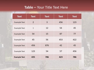 Digger Inscription Stone PowerPoint Template