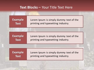 Digger Inscription Stone PowerPoint Template
