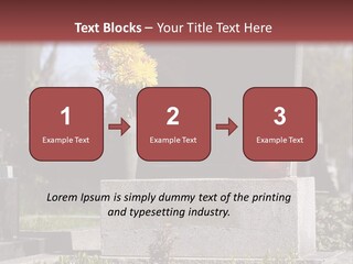 Digger Inscription Stone PowerPoint Template