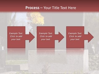 Digger Inscription Stone PowerPoint Template