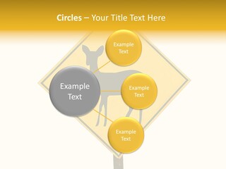 Season Red Mammals PowerPoint Template