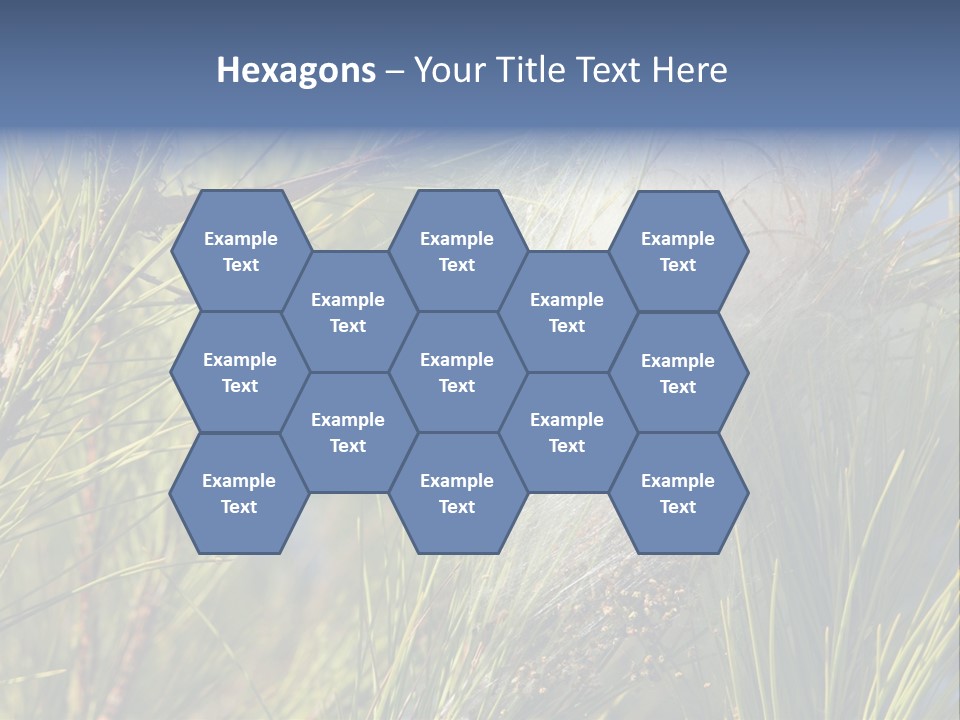 Vegetable Pines Nature PowerPoint Template