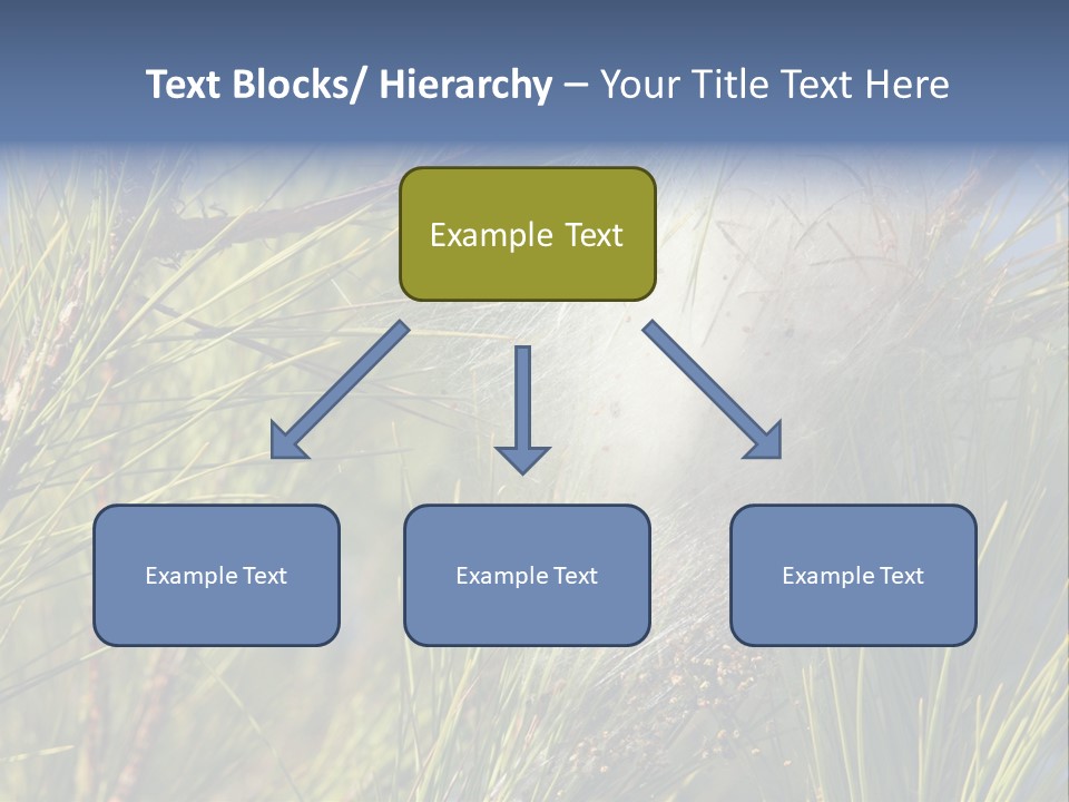 Vegetable Pines Nature PowerPoint Template